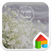 Gypsophila2 DodolLauncherTheme 1.1 Icon