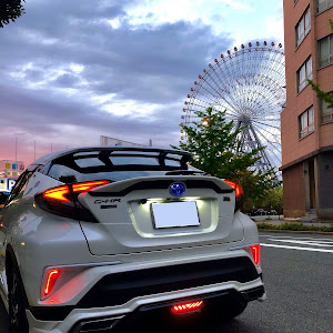 C-HR ZYX10