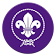 SCOUTS icon