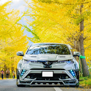 C-HR ZYX10