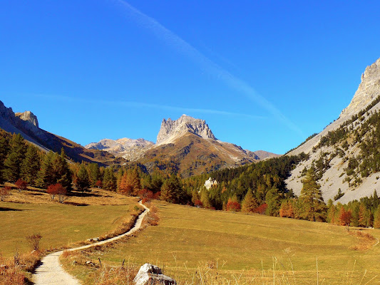 Un buon inizio! di Steo 