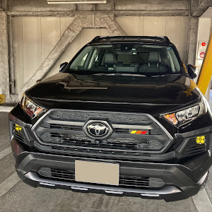 RAV4 MXAA54