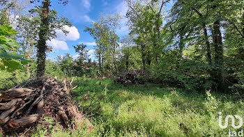 terrain à Gouvieux (60)