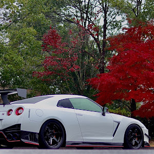 NISSAN GT-R R35