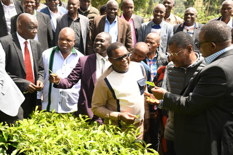 CS Linturi accompanied with Bunngoma governor Ken Lusaka and National assembly speaker Moses Wetang'ula at Kaberwa farm on Friday.