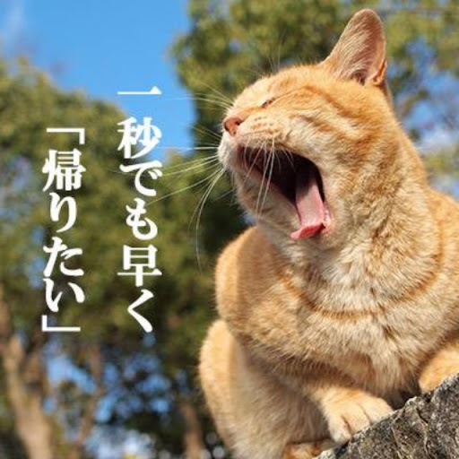 ぐで〜影舞〜のプロフィール画像