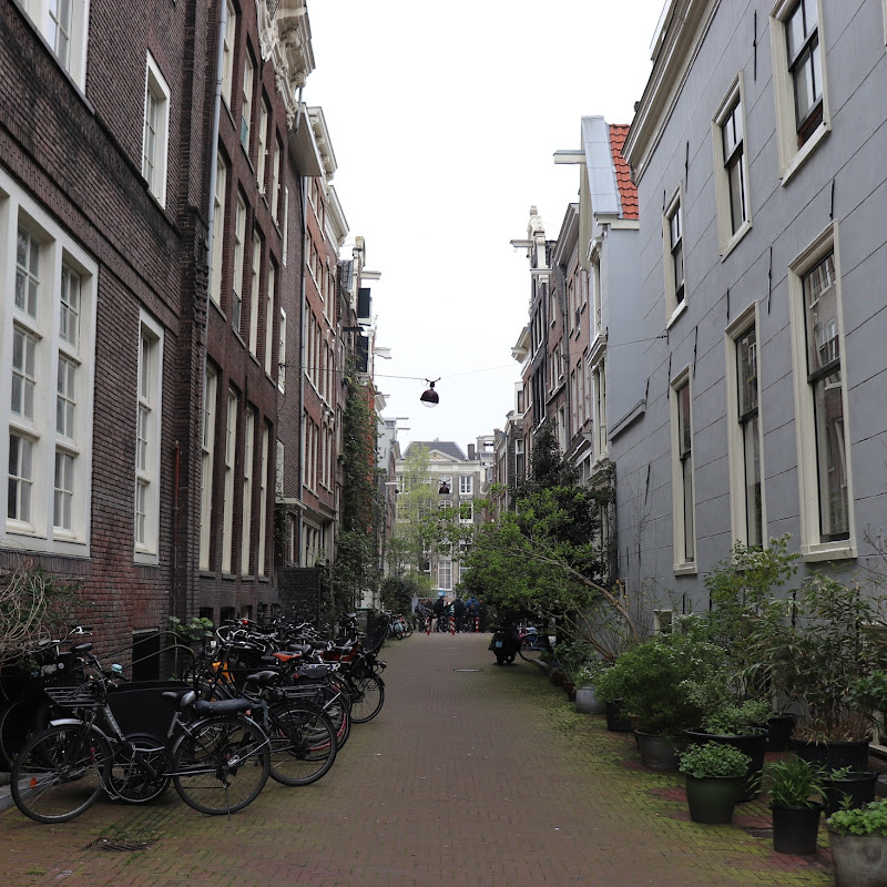 Amsterdam alley di letizia_minelli