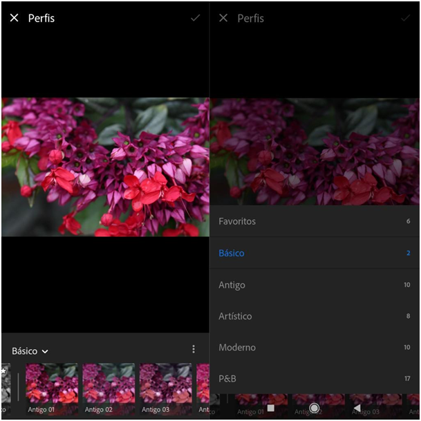 A esquerda uma fotografia de uma flor com tons de rosa na ferramenta de perfis. A direita uma filtros prontos.