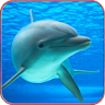 Dolphin Wallpaper HD icon