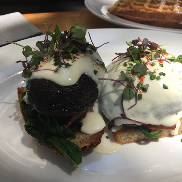 Portobello benedict