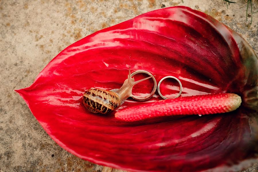 Fotograful de nuntă Dmitriy Feofanov (dmitryfeofanov). Fotografia din 19 iunie 2019