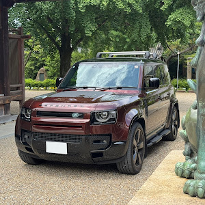 ディフェンダー 110