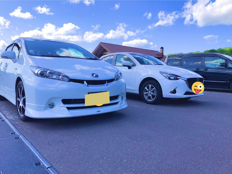 ウィッシュのちゃおさんが投稿したカスタム事例の投稿画像1枚目