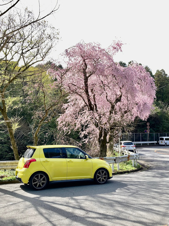 スイフトスポーツの京都・kyotoに関するカスタム事例の投稿画像4枚目