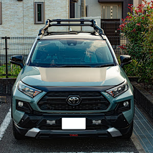 RAV4 MXAA54