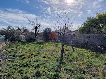 terrain à Saint-André-de-Sangonis (34)