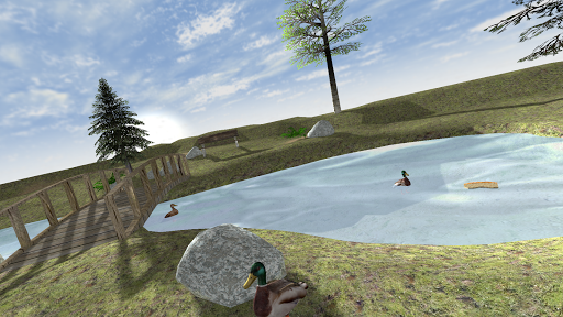 Duck Pond VR