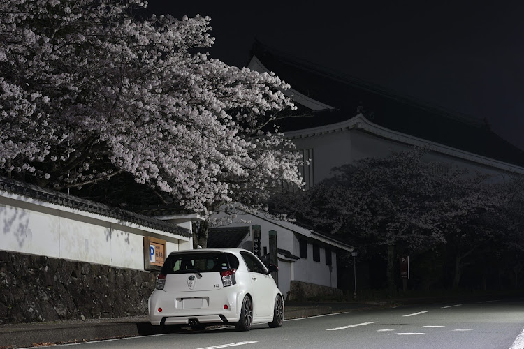 iQの4月もよろしくお願いします・サクラと愛車・下手くそカメラマン・夜桜と愛車に関するカスタム事例の投稿画像1枚目