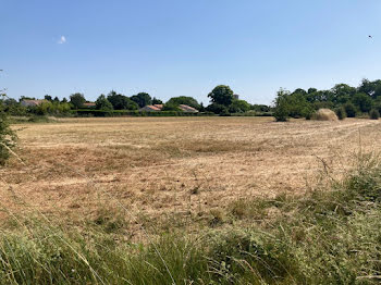 maison neuve à Corme-Ecluse (17)