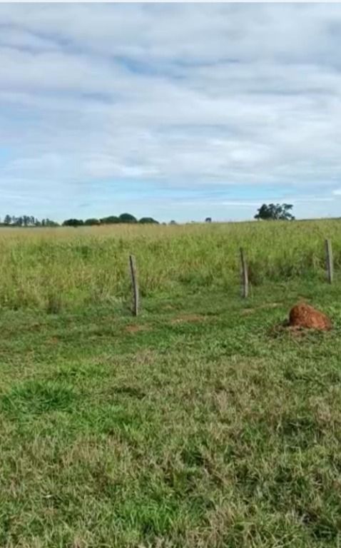 Fazendas à venda Zona Rural