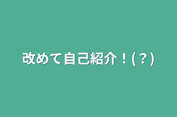 改めて自己紹介！(？)