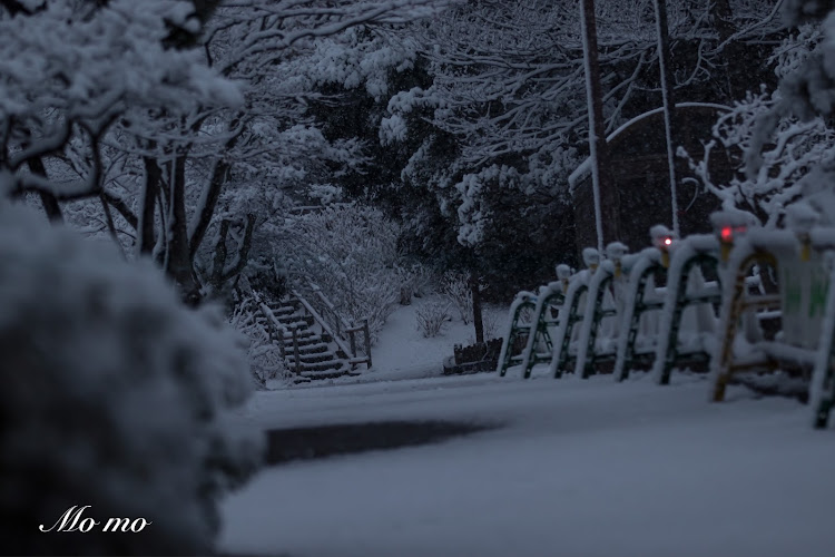 6シリーズの黙撮・大雪警報発令中・てか明日が心配・一眼初雪かも❄️☃️・discover_ctに関するカスタム事例の投稿画像9枚目
