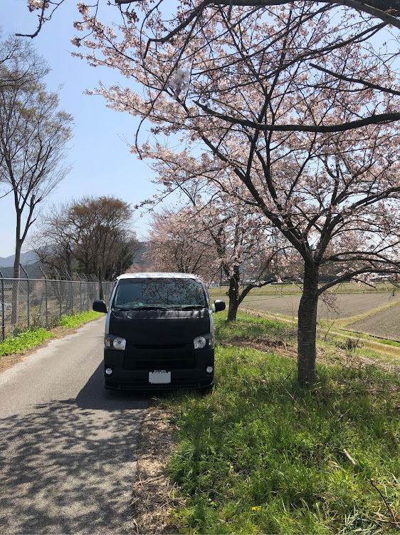 ハイエースバンの桜コラボに関するカスタム事例の投稿画像1枚目