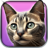 My Kitten (Virtual Pet) icon