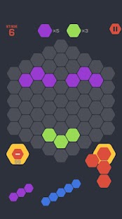 Hexa Block King