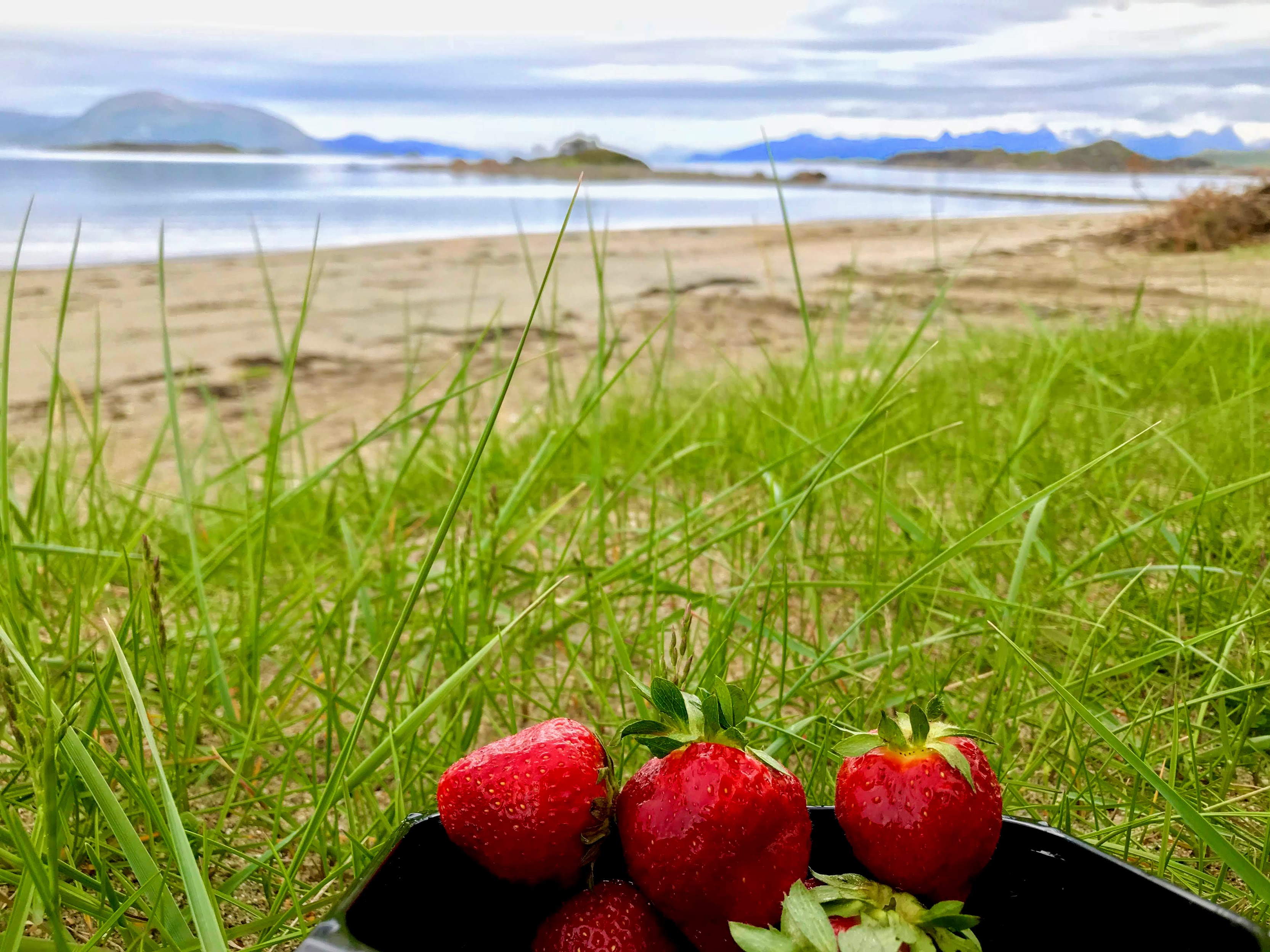 Острова в облаках. Отложенные маршруты (Svartisen, Værøy, Trollfjordhytta - много фото)