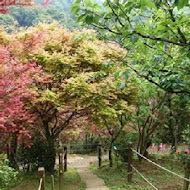 台北奧萬大樂活莊園