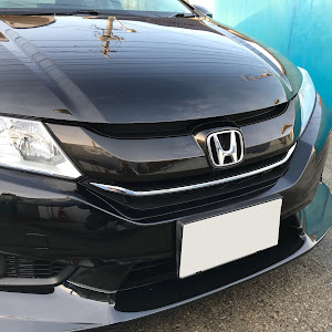 グレイス GM4