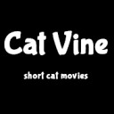 Cat Vine Lite | ショート猫動画 Chrome extension download