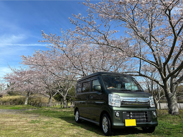 エブリイワゴンの桜とコラボ・4月もよろしくお願い致します🌸・桜・春ですね・洗車いつしよう？？に関するカスタム事例の投稿画像1枚目