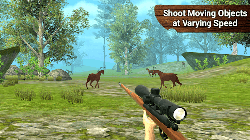 Screenshot Master Sharp Shooter - Shootin