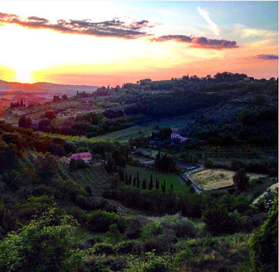 Il Colore della natura  di Fedymey8