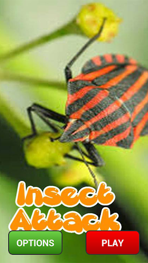 免費下載街機APP|Insect Killer app開箱文|APP開箱王