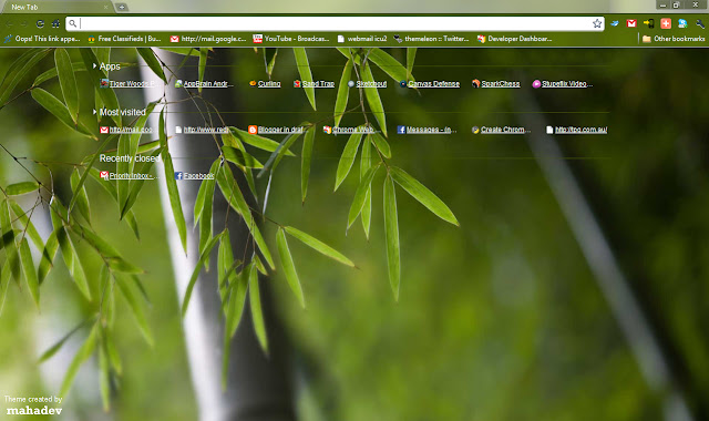 Bamboo Forest(2) - 1920x1200 chrome extension