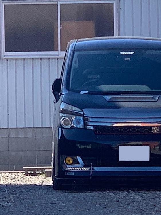 ヴォクシーのソロ写真館・2/3半顔・病院の駐車場に関するカスタム事例の投稿画像1枚目