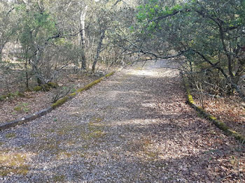 terrain à Sauteyrargues (34)