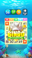 Bingo Live-Knockout Bingo Game Screenshot