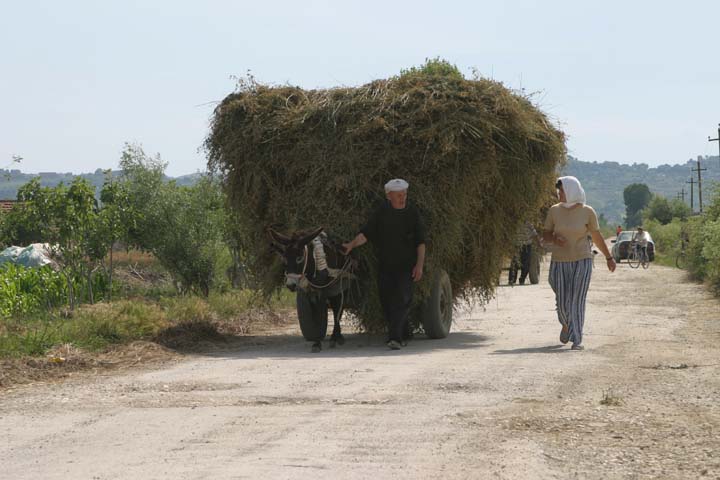 In strada... di zhani