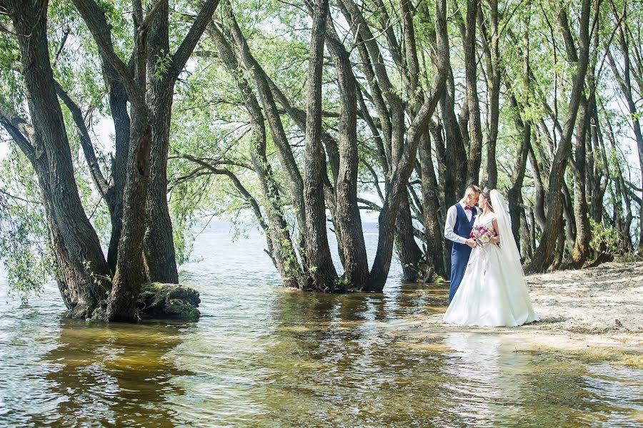 Fotografo di matrimoni Stanislav Vlasov (vlasovstudio). Foto del 5 luglio 2019