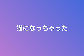 「猫になっちゃった」のメインビジュアル