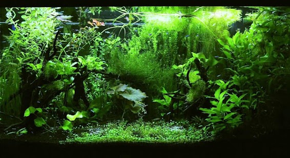 How to install Aquascape Ideas 1.0 mod apk for laptop