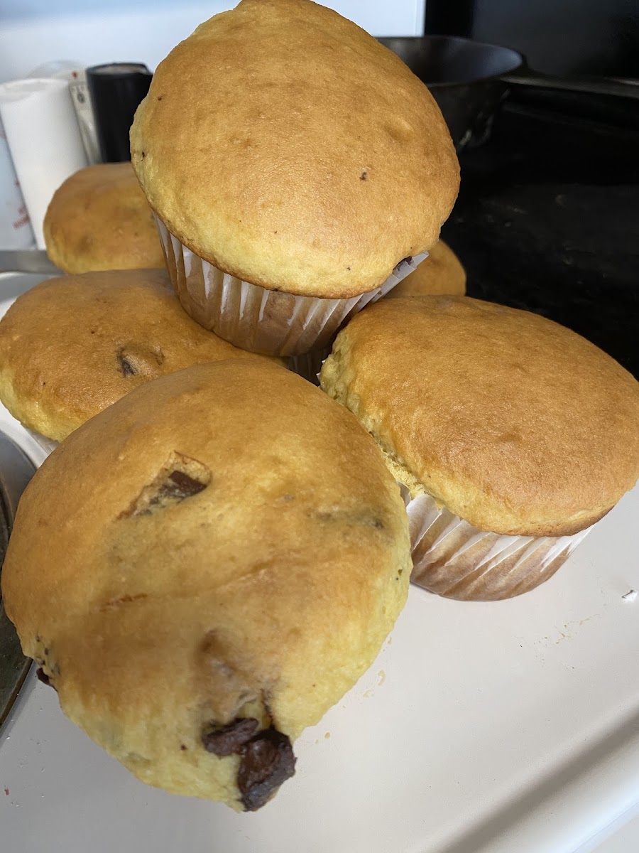 Gluten-Free Muffins at Morning Jo’s