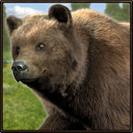 Cover Image of Télécharger Ultimate Bear Simulator 1.0 APK