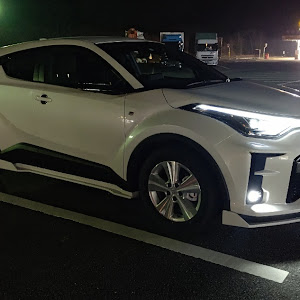 C-HR ZYX11