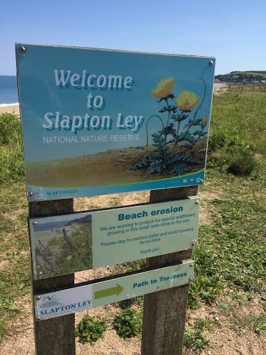 Slapton Ley Beach