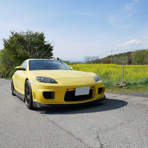 RX-8 SE3P